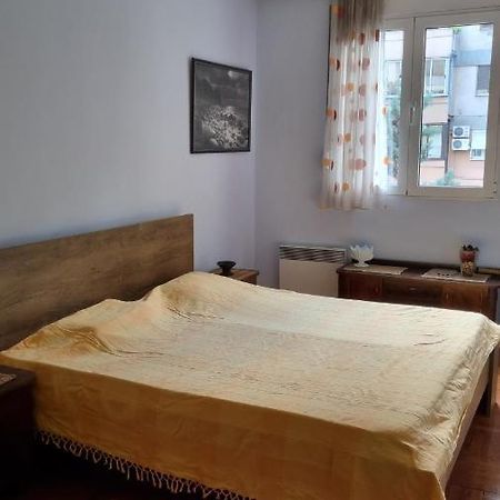 Apartment Z Podgorica Exterior foto